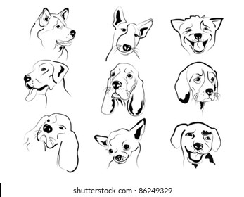 Set of different dogs friendly graphic faces sketches.