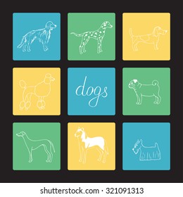 Set of different dogs: Huskies, Dalmatian, poodle, pug, basset hound, greyhound, Scotch Terrier, Irish Setter. Hand drawing. Vector.