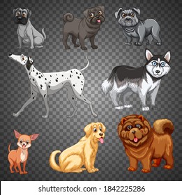 Set of different dogs isolated illustration