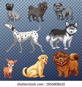 Set of different dogs isolated illustration