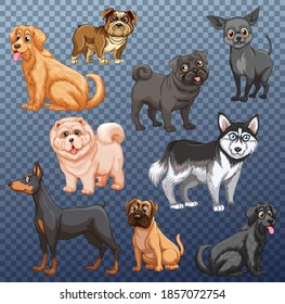 Set of different dogs isolated illustration