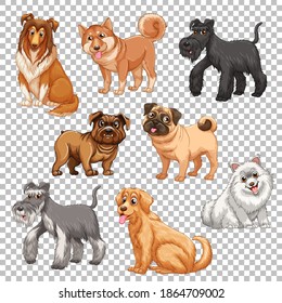 Set of different dogs isolated illustration