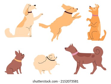 Set of different dogs various poses flat style, vector illustration isolated on white background. Dog training, animal education. Pets doing give paw, up, sit and heel commands