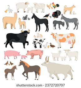 Set of different domestic animals on white background