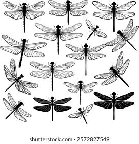 set of different dragonflies. vector illustration. Black line art drawings of dragonflies on a white background. Minimalist and delicate design. For logo, icons design 