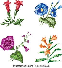 A set of different drawn wildflowewrs