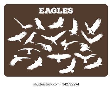 Set of different eagle silhouettes in various idle and flying poses