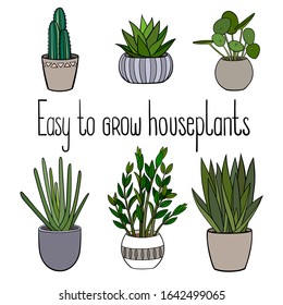 Set of different easy to grow coloured house plants in planters with a handwriting caption. Vector outline illustration drawings on a white background.