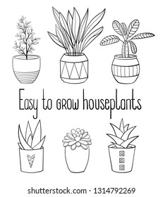 Set of different easy to grow house plants in planters with a handwriting caption. Vector outline illustration drawings on a white background.