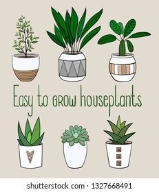 Set of different easy to grow house plants in planters with a handwriting caption. Vector illustration drawings of coloured indoor plants 