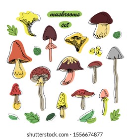 set of different edible and inedible mushrooms on a white isolated background. Boletus, chanterelle mushrooms, boletus, grebe, fly agaric, fly leaves. Vector hand-drawn