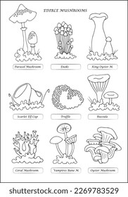 Set of different edible mushrooms with names outlined in black and white, contours of different forms of mushrooms, silhouettes of mushrooms.