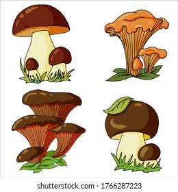 Set of different edible and poisonous mushrooms vector illustration isolated on white background.