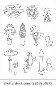 Set of different edible and poisonous mushrooms outlined in black and white, contours of different forms of mushrooms, silhouettes of mushrooms.