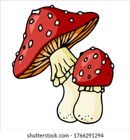 Set different edible   poisonous red mushrooms vector illustration isolated white background 