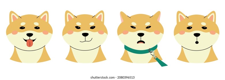 A set with different emotions of shiba inu. cheerful, angry, surprised, cunning or playful. Minimalistic cute white background in pastel shades. The nature of a thoroughbred dog. The pet with leash