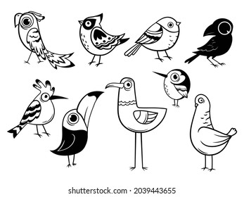 Set of different exotic birds. Collection of forest bird crow, bullfinch, sparrow, woodpecker, pigeon etc. Vector illustration of animal different poses isolated on white background.