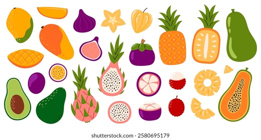 Set of different exotic fruits.  Collection of organic vitamins and healthy nutrition. Pitahaya, pineapple, mango, lychee, pitahaya, passion fruit, carambola, mangosteen. Flat Vector illustration