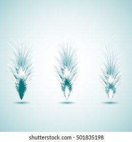 Set of different feathers of birds. Feathers like brushes. Unique brushes.