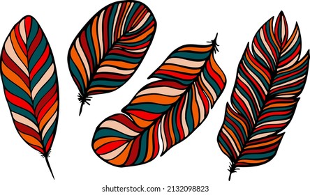 set of different feathers handwritten in colorful manner 