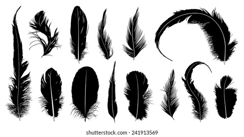 Set of different feathers isolated on white