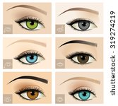 Set of different female eye shapes: upturned, downturned, protruding, hooded, monolid, round, and different eye colours with eyebrows. Vector illustration.