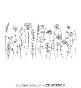 Set with different field grass and twigs. Transparent elements for your design. Hand-drawn vector illustration. Doodle style.