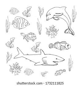 Set of different fish and creatures and algae, shark, dolphin, turtle.World Ocean Day.Fish and marine life.Coloring book for children. Vector illustration in doodle style. Isolate on a whit background