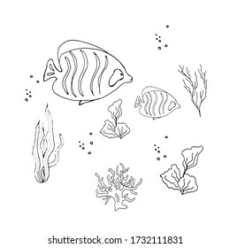 Set of different fish and creatures and algae, shark, dolphin, turtle.World Ocean Day.Fish and marine life.Coloring book for children. Vector illustration in doodle style. Isolate on a whit background