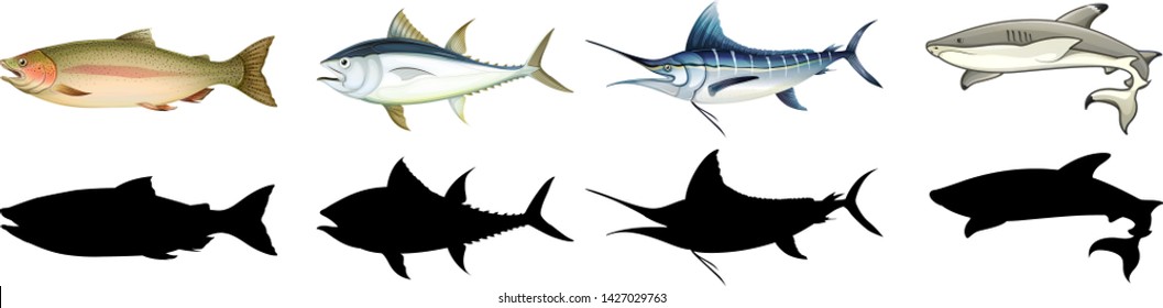Set of different fish illustration