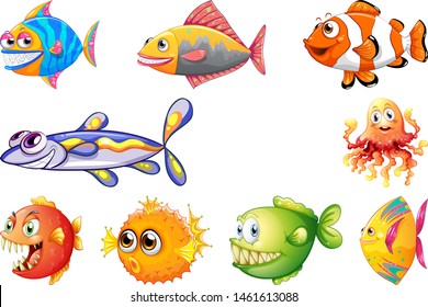 set of different fish illustration