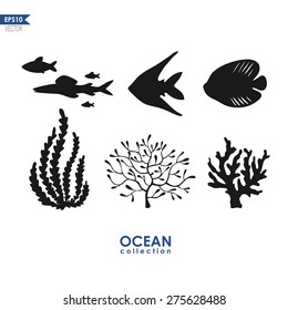 set of different fishes an oceanic plants isolated on white, oceanic collection, black and white vectors