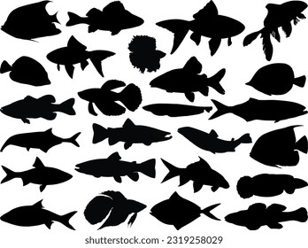 Juego de silueta de diferentes peces