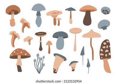 Se ubica con diferentes hongos planos de dibujos animados aislados en blanco. Colección forestal. Ilustración de la naturaleza dibujada a mano para la decoración estacional de otoño, etiquetas, receta, embalaje, web. Conjunto botánico. Vector