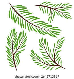 Set of different flat vector Christmas tree branches
