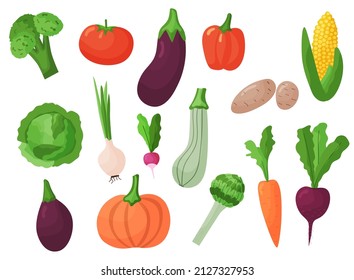 Set of different flat vegetables. Organic healthy food isolated on white background. Vector illustration