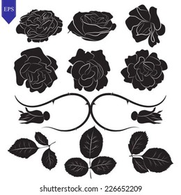 Conjunto de diferentes flores y hojas vectoriales de rosas, aisladas