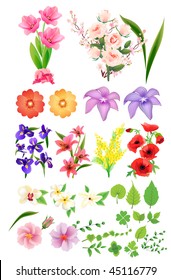 Set of different flowers