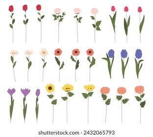 Eine Reihe verschiedener Blumen für einen Strauß. Ein Geschenk für eine geliebte Frau. Blumenstrauß-Komposition mit Blumen. Vektorgrafik