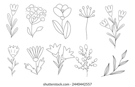 Set of different flowers and branches, doodle style flat vector outline for coloring book