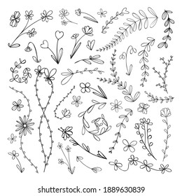 Set of different flowers, branches, leaves and other plant elements. Sketch, doodle style