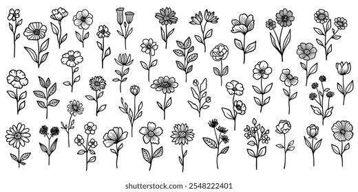 Conjunto de diferentes flores y ramas. Flores y plantas ilustraciones dibujadas a mano. Dibujado a mano lindo arte de la línea de la flora de primavera. Esquema de dibujo botánico rústico