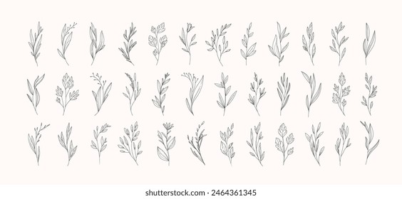 Set of different flowers and brunch from flat editable stroke. Luxury line floral collection for wedding invitation art, design template of save the date card. Botanical vector illustration