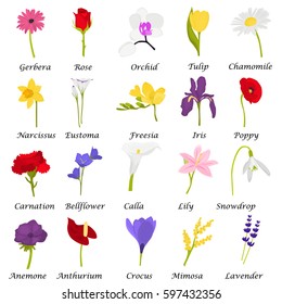 Set of different flowers color flat icons for web and mobile design