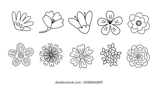 Set of different flowers heads, spring design, doodle style flat vector outline for coloring book