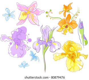 Set of different flowers Orchids and Irises.