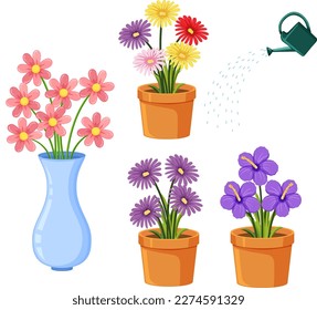 Set of different flowers in pots illustration