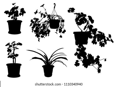Set of different flowers in pots isolated on white