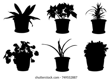 Set of different flowers in pots isolated on white