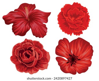 set of different flowers in red color namely red rosebuds, carnations, mallows and poppies, vector